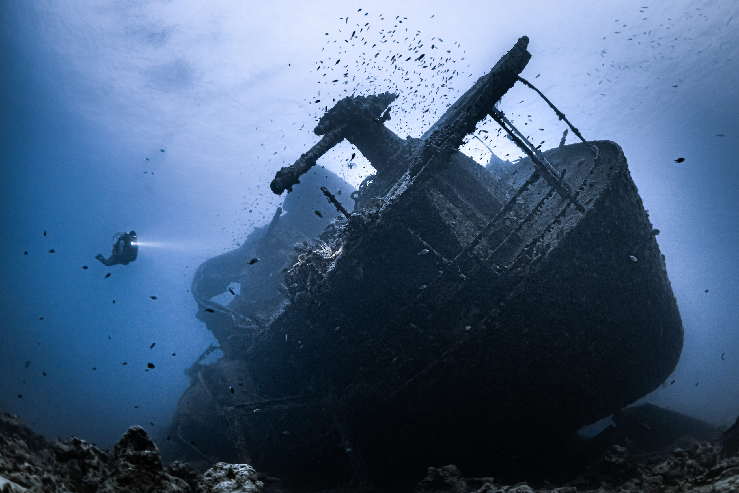 ALBE | Wreck Diver